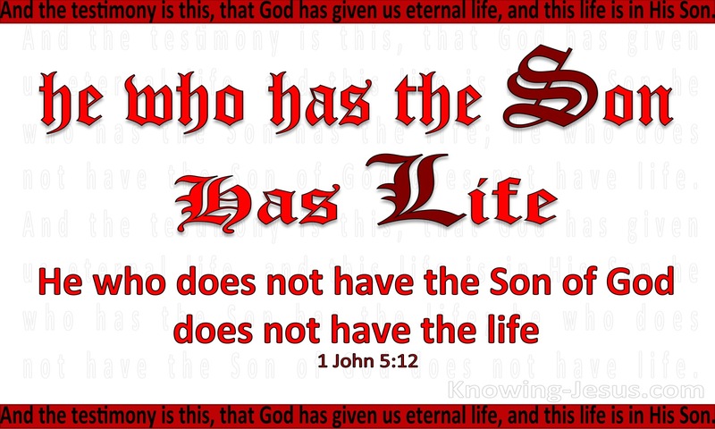 1 John 5:12 He Who Has The Son Has Life (red)